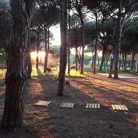 The Pineforest Cabin Chiclana de la Frontera Buitenkant foto