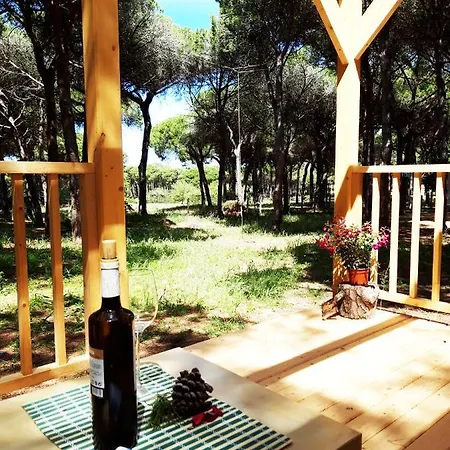 The Pineforest Cabin Chiclana de la Frontera Buitenkant foto