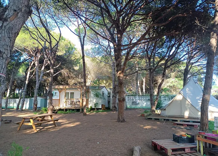 The Pineforest Cabin