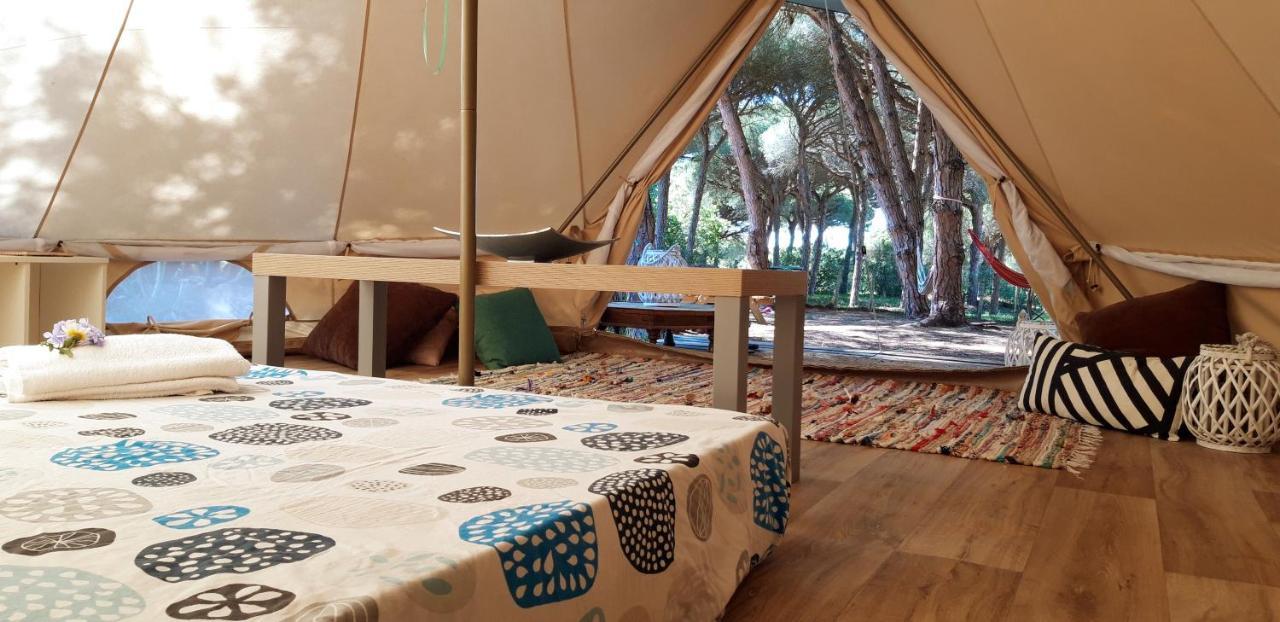 The Pineforest Vakantiehuis *