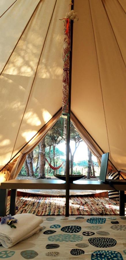 Vakantiehuis The Pineforest